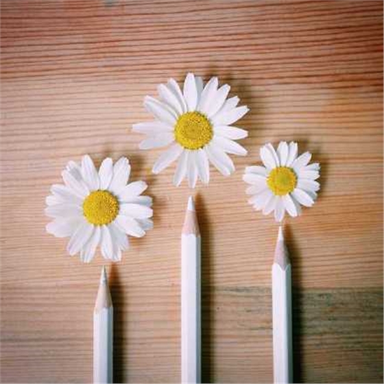 3bc95f2fjw1f3aypxsxdqj20c80c8t8z.jpg 3bc95f2fjw1f3aypxsxdqj20c80c8t8z.jpg