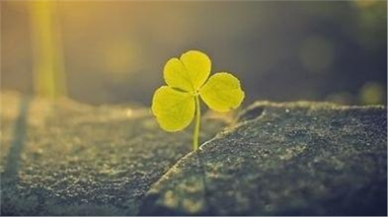 u=169158121,2498217963&fm=21&gp=0.jpg u=169158121,2498217963&fm=21&gp=0.jpg