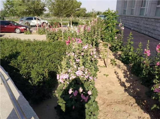 微信圖片_20170708113402.jpg 微信圖片_20170708113402.jpg