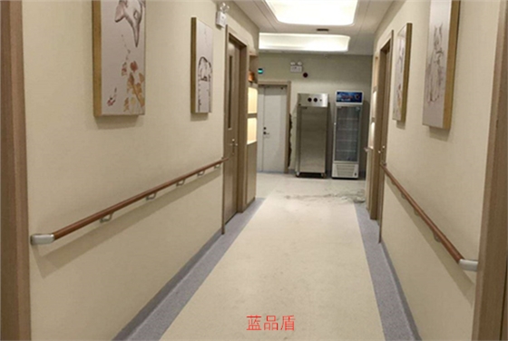 走廊無障礙安全扶手 走廊無障礙安全扶手