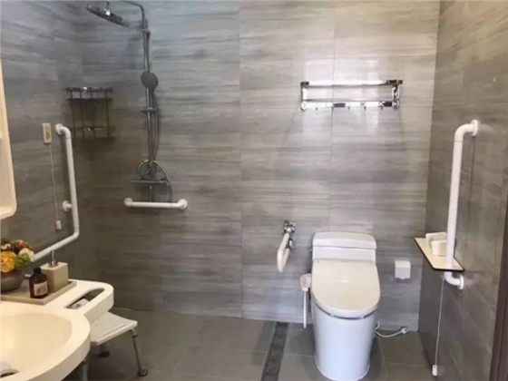 公共衛(wèi)生間殘疾人廁所扶手 公共衛(wèi)生間殘疾人廁所扶手