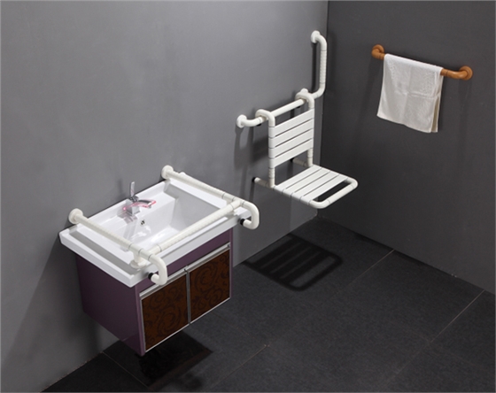 木質扶手衛生間