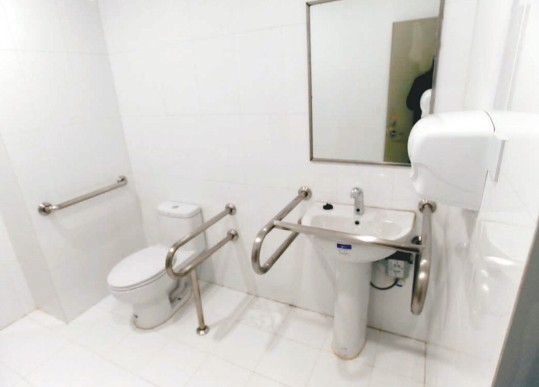 公共衛(wèi)生間扶手 公共衛(wèi)生間扶手