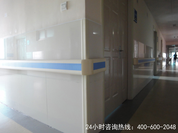 醫院走廊扶手生產商.JPG