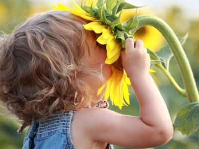 1-131226001610.jpg 1-131226001610.jpg