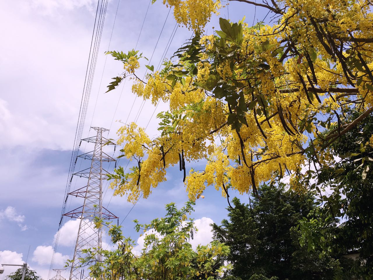 825900157838184742.jpg 825900157838184742.jpg