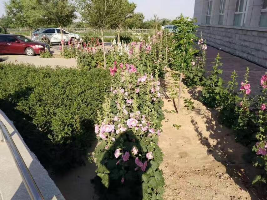 微信圖片_20170708113402.jpg 微信圖片_20170708113402.jpg