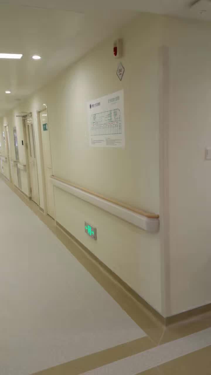 【甘肅】隴西縣第三人民醫(yī)院安裝PT-159款走道扶手