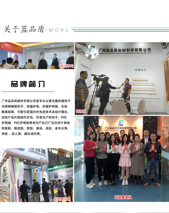 第三衛(wèi)生間扶手