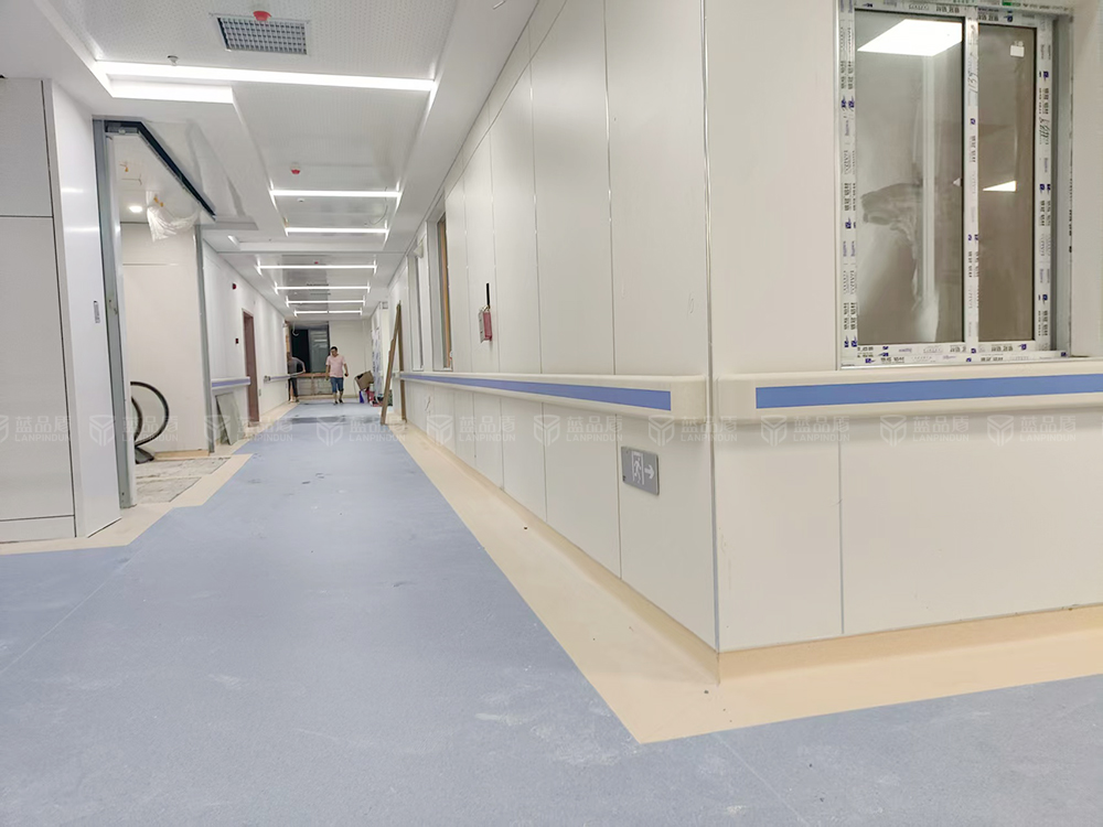 為【貴州】榕江縣人民醫院供貨防撞扶手-藍品盾