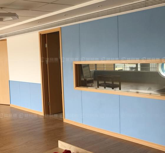 藍品盾醫用防撞樹脂板PT-SZB-01款 藍品盾醫用防撞樹脂板PT-SZB-01款